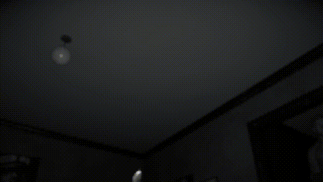 《恐怖阴影点-最后的告别(Scary Shadow Spot Last Farewell)》Build15745931官方版[俄网FitGirl 2024.09.25更新2.15G]-影音屋