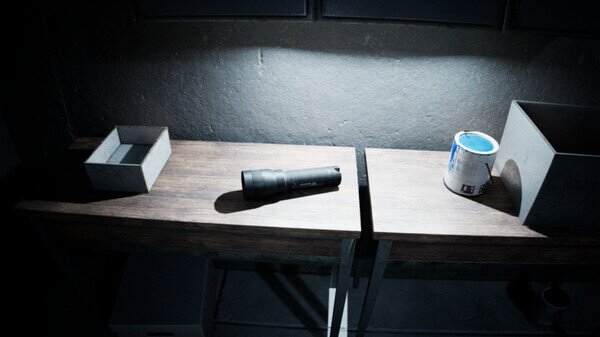 图片[4]-《亡灵：寂静呼唤（Exanimum: The Silent Call）》官方中文 TENOKE镜像版-影音屋