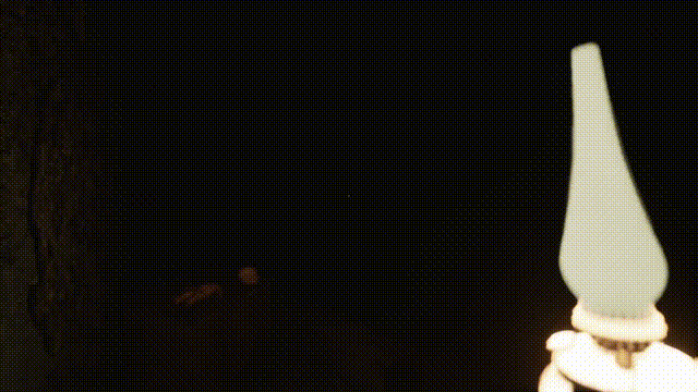 《来自过去(From The Past)》Build17046529官方中文版[俄网Пиратка 2025.01.22更新9.16G]-影音屋