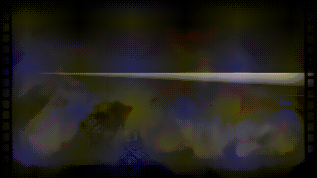 《恩维乌斯(Envyus)》Build16407561官方版[俄网Пиратка 2025.01.16更新1.69G]-影音屋