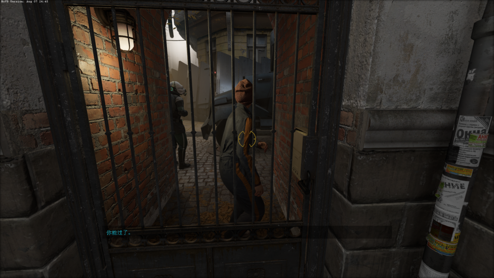 图片[9]-《半条命-爱莉克斯(Half Life Alyx NO VR)》V1.5.4(Build8694564)官方中文版[俄网portable 2024.08.10更新76.95G]-影音屋