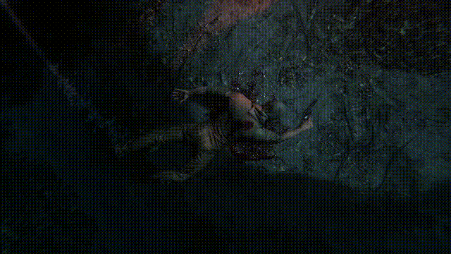 《斯盖尔仪式》V1.3.2.25602(Build20236409)+Dlcs官方中文版[俄网portable 2025.10.04更新10.57G]-影音屋