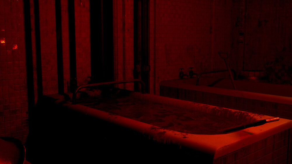 《疯人院狂热：主播的命运（Madhouse Madness: Streamer's Fate）》TENOKE镜像版-影音屋