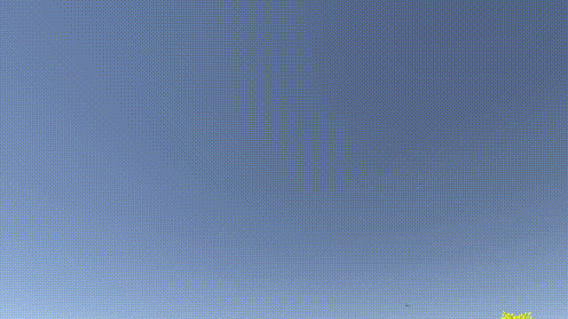 《丰登之日-我的梦中农场》V1.0.0-dsp(75079)+Dlcs官方中文版[俄网GOG 2024.07.26更新9.3G]-影音屋