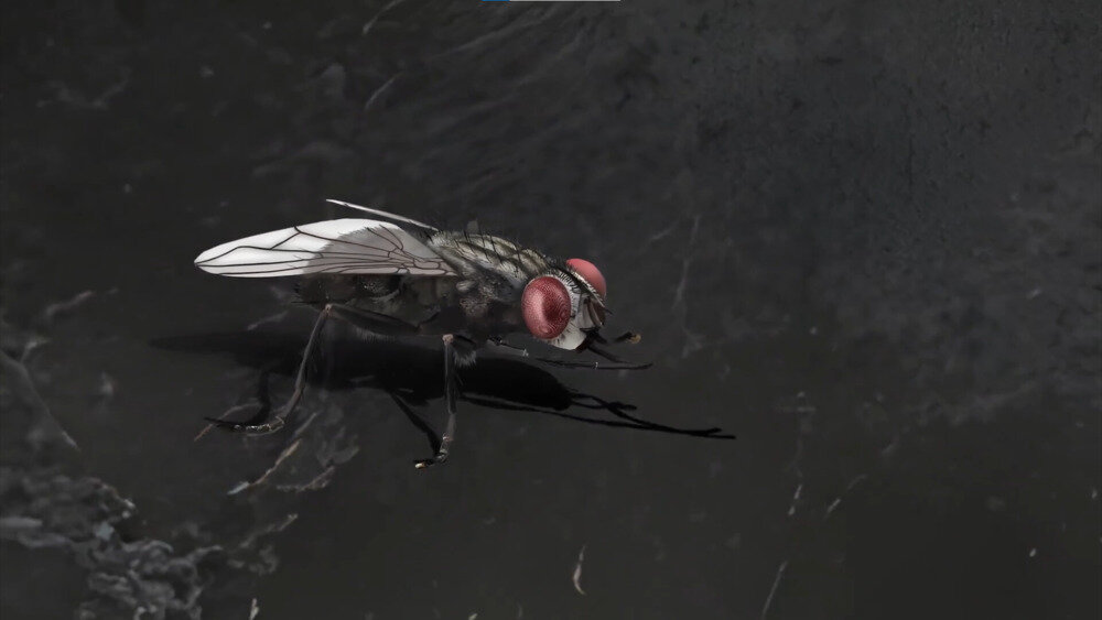 图片[9]-《残秽的我们2 普渡慈航》中字-国语|V230614-破败狂想-暗影掌控-影音屋