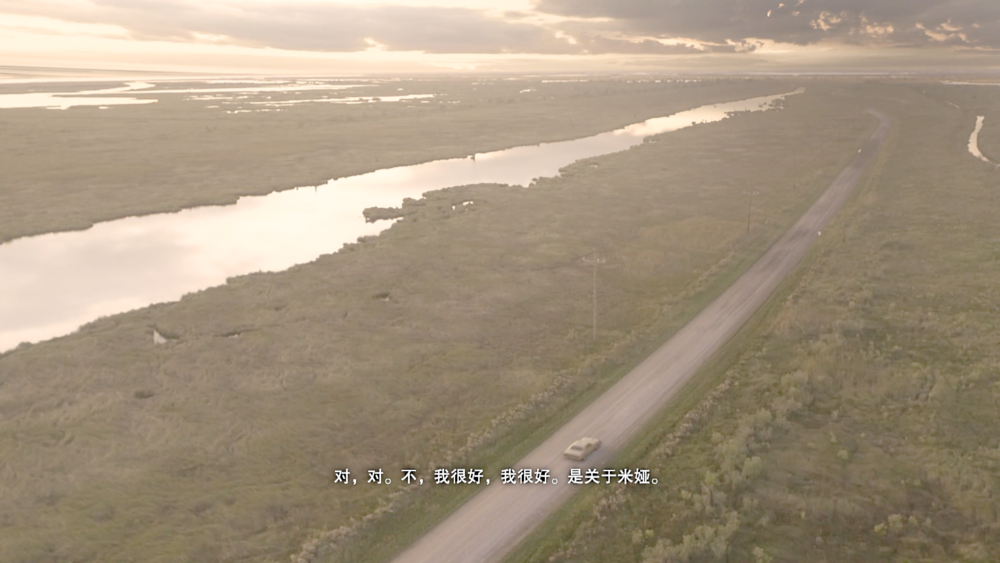 图片[4]-《生化危机7 DX12黄金版》Build11026049+7Dlcs官方中文版[俄网Portable 2025.03.17更新65.2G]-影音屋