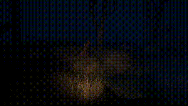 《史密特探长-消退(Inspector Schmidt The Ebbing)》Build18012277官方版[俄网Пиратка 2025.04.08更新21.9G]-影音屋