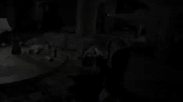 《生化危机7 DX12黄金版》Build11026049+7Dlcs官方中文版[俄网Portable 2025.03.17更新65.2G]-影音屋