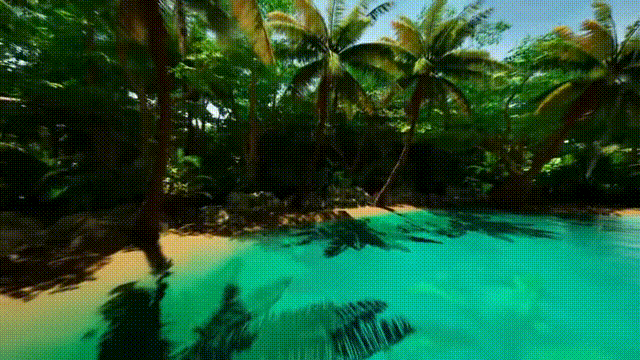 《波澜壮阔(Grandiose)》V1.3.1官方版[俄网Пиратка 2025.02.01更新7.64G]-影音屋