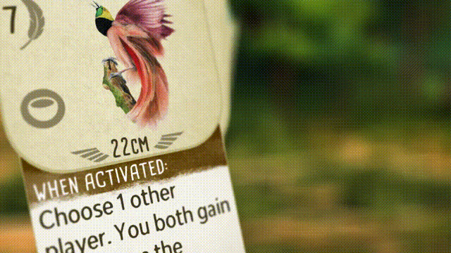 《展翅翱翔(Wingspan)》V1.6.1065+6Dlcs官方中文版[俄网Portable 2025.01.13更新2.34G]-影音屋