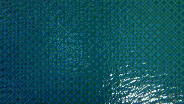 《小房子模拟器抢先版(Tiny House Simulator)》Build16291155官方中文版[俄网Пиратка 2024.11.06更新1.04G]-影音屋