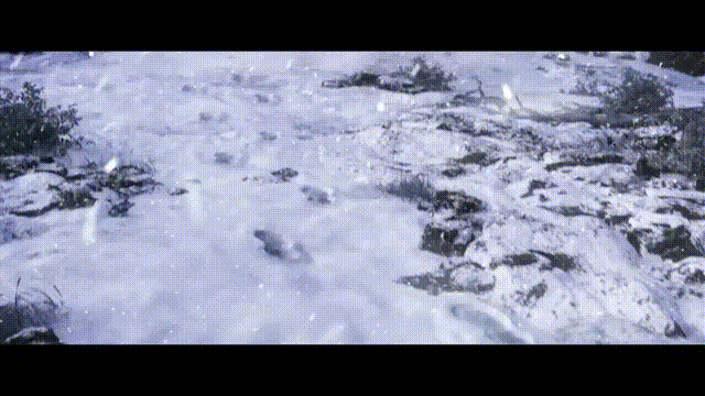 《堕落之王2014(Lords Of The Fallen 2014)》V1.6+Dlcs官方中文版[俄网r.g-mekhaniki 2022.08.02更新17.01G]-影音屋