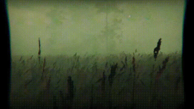 《可怕的夜班-待售鬼屋(Creepy Shift House For Sale)》Build18083341官方中文版[俄网Пиратка 2025.04.16更新6.77G]-影音屋