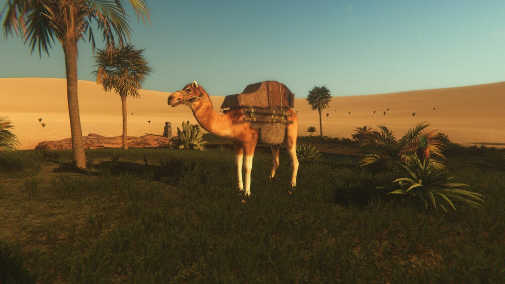 图片[2]-《星辰沙海(Starsand)》V1.0.9(65609)+Dlcs官方中文版[俄网GOG 2024.07.13更新4.37G]-影音屋