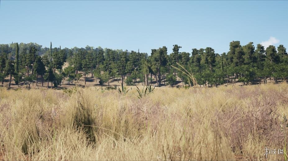 图片[2]-《人渣（SCUM）》官方中文 正式版 RUNE镜像版-影音屋