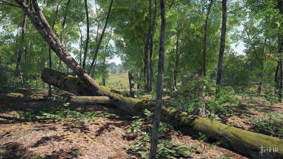 图片[6]-《人渣（SCUM）》官方中文 正式版 RUNE镜像版-影音屋