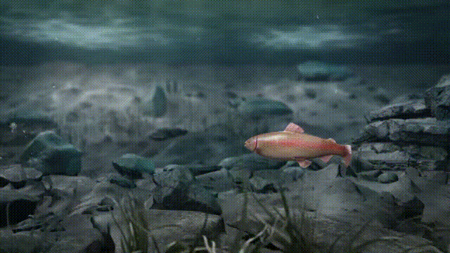 《实况钓鱼VR(Real VR Fishing)》V2.560官方中文版[俄网Пиратка 2024.12.21更新8.59G]-影音屋