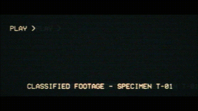 《Vorax抢先版》Build15213731官方版[俄网Пиратка 2024.08.08更新18.62G]-影音屋