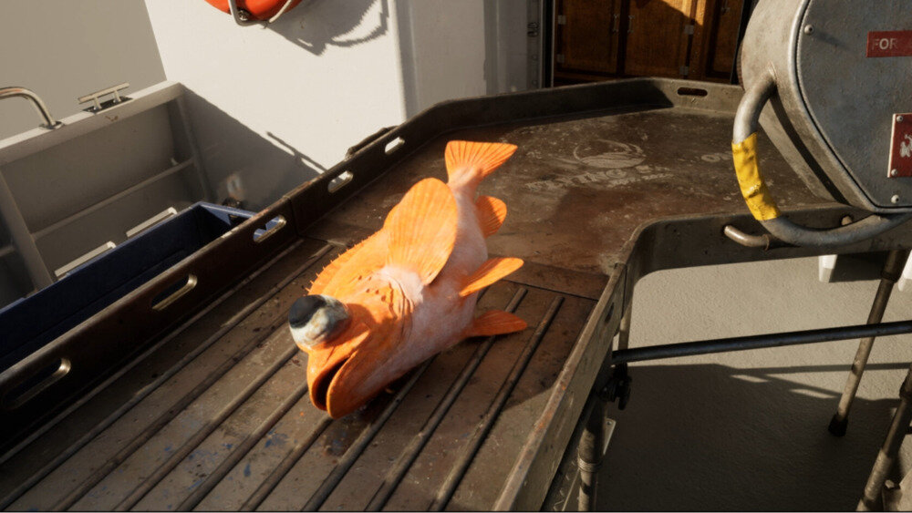 图片[2]-《Ships At Sea》Build14511197官方版[俄网Пиратка 2024.05.31更新24.24G]-影音屋