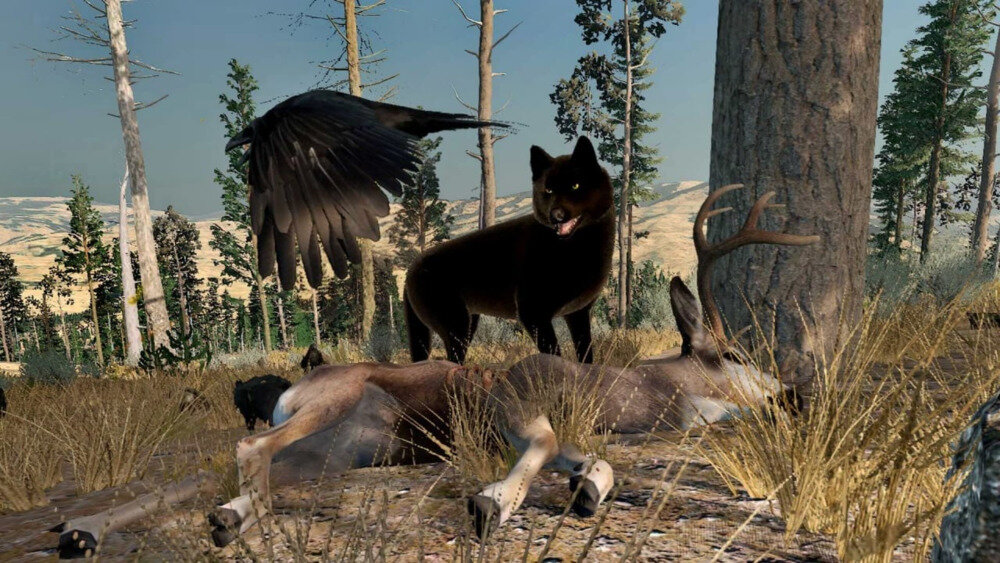 图片[7]-《野狼谜踪周年版》Build19315088+4Dlcs官方版[俄网portable 2025.07.23更新6.75G]-影音屋