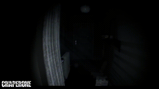 《伴侣(Chaperone)》Build12890698官方版[俄网fitgirl 2023.12.13更新4.73G]-影音屋