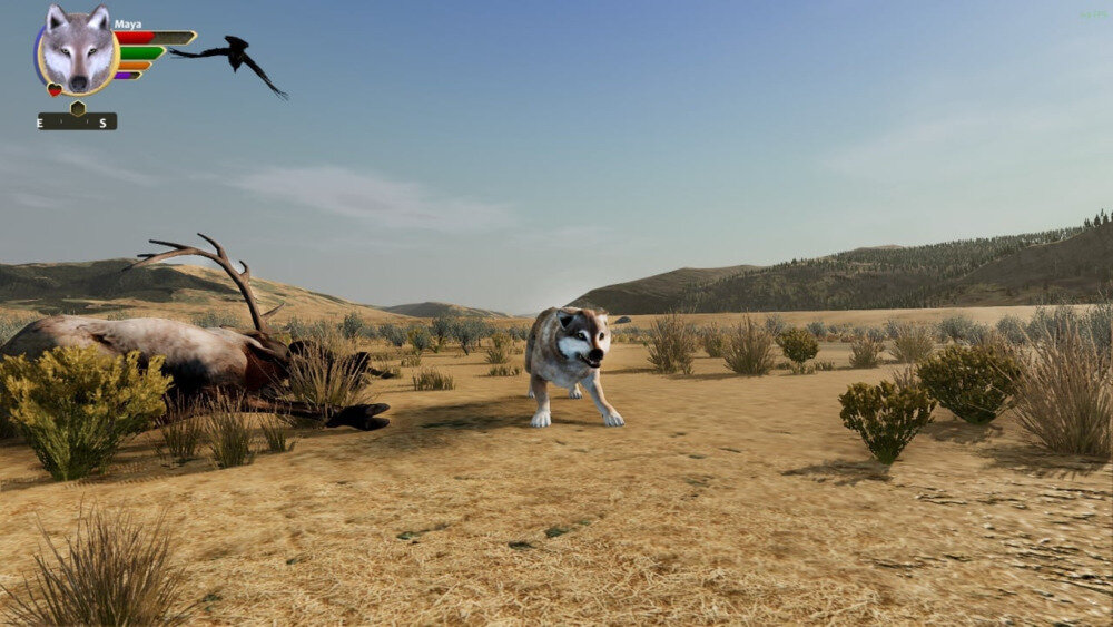 图片[11]-《野狼谜踪周年版》Build19315088+4Dlcs官方版[俄网portable 2025.07.23更新6.75G]-影音屋