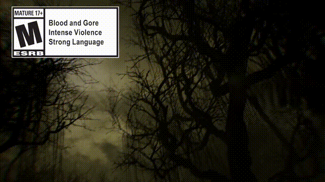 《黎明杀机OL》V1.3.1官方中文版[俄网canek77 2025.08.01更新88.76G]-影音屋