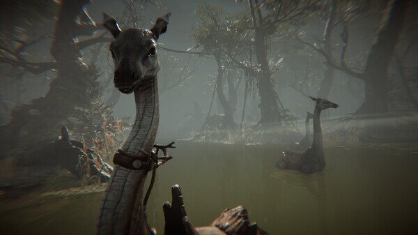 图片[5]-《Amerzone：探险家的记忆传承（Amerzone – The Explorer's Legacy）》RUNE镜像版-影音屋