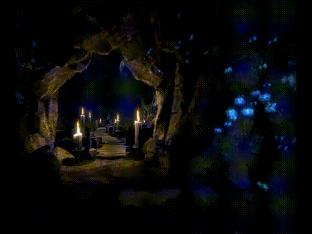 《卡利戈(Caligo)》V1.0官方版[俄网Пиратка 2025.06.28更新3.73G]-影音屋