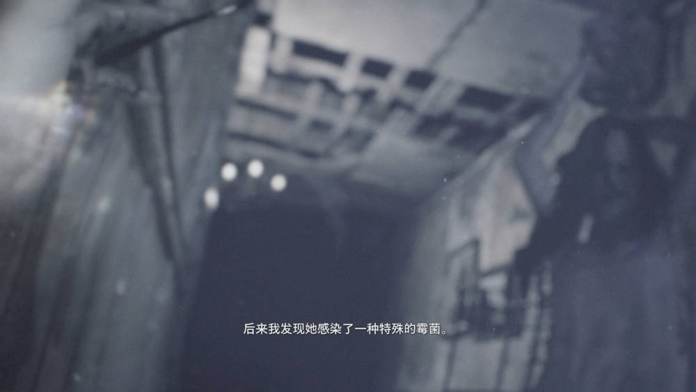 图片[6]-《生化危机8村庄黄金版(Resident Evil Village Gold Edition)》Build11260452+Dlcs官方中文版[俄网portable 2023.10.06更新37.47G]-影音屋