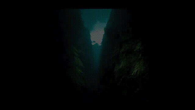 《迷宫(Labyrinthine)》V20250827官方中文版[俄网Пиратка 2025.08.29更新20G]-影音屋