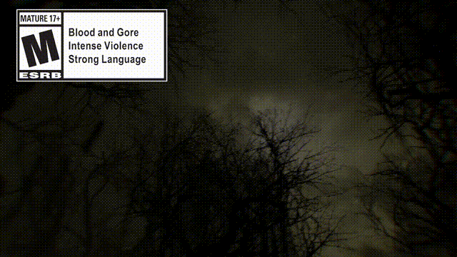 《黎明杀机OL合集》V1.3.1&1.8.0&1.9.3&2.3.3&3.2.2&4.4.2&6.7.&6.7.2官方中文版[俄网canek77 2025.03.02更新120.84G]-影音屋