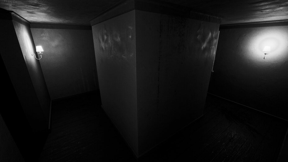 《超自然折磨（Paranormal Torment）》官方中文 TENOKE镜像版-影音屋