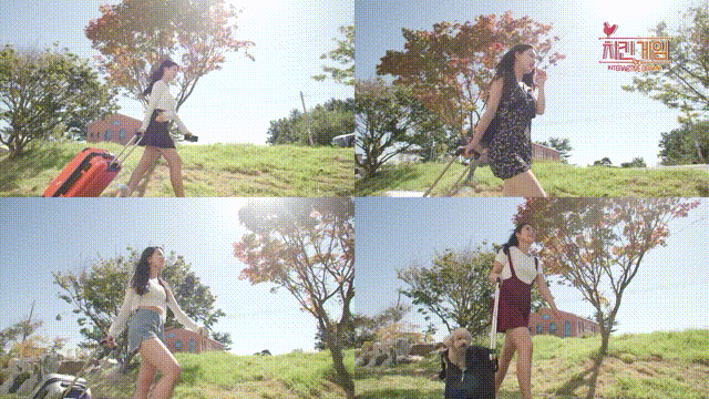 《炸鸡游戏(Chicken Game)》V1.0.0官方中文版[俄网Пиратка 2024.07.27更新11.92G]-影音屋