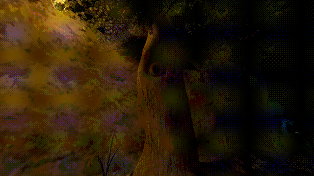 《空穴之翼(Burrow Wing)》V1.13官方版[俄网portable 2025.06.08更新3.78G]-影音屋