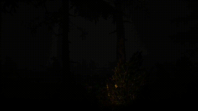 《阴影边界(Shadow Bounded)》Build15646874官方版[俄网Пиратка 2024.09.11更新3.12G]-影音屋