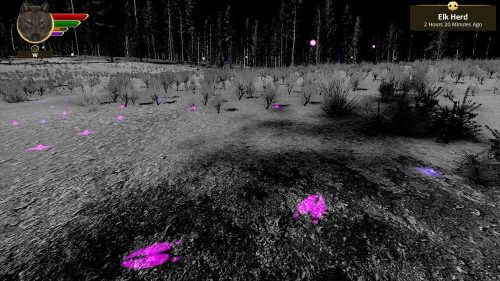 图片[4]-《野狼谜踪周年版》Build19315088+4Dlcs官方版[俄网portable 2025.07.23更新6.75G]-影音屋