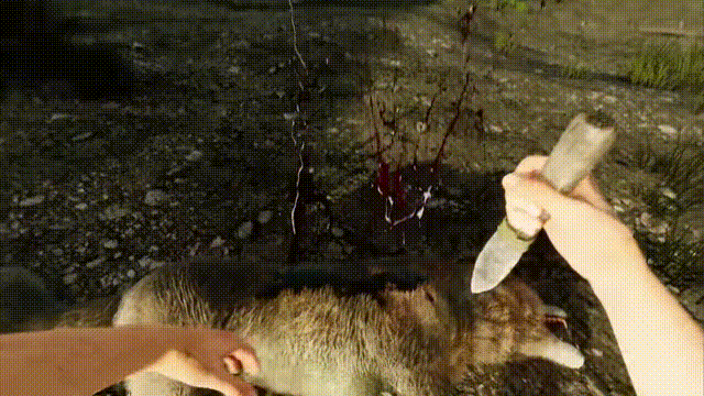 《维京边境抢先版(Viking Frontiers)》Build18209225官方中文版[俄网Пиратка 2025.04.24更新5.49G]-影音屋