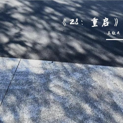 王敬之《28：重启》[320K/MP3][24Bit-48kHz][FLAC/分轨][604.8MB]-影音屋