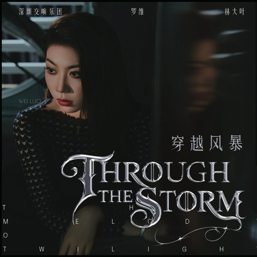 林大 叶罗维《穿越风暴》[320K/MP3][FLAC/分轨][1.2G]-影音屋