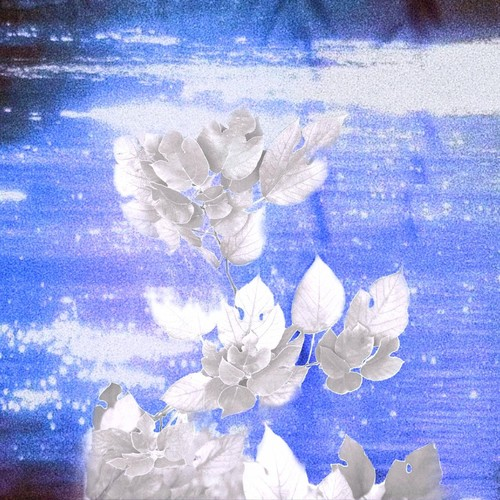 Quinn葵因《希望》[320K/MP3][Hi-Res][24Bit-96kHz][FLAC/分轨][269MB]-影音屋