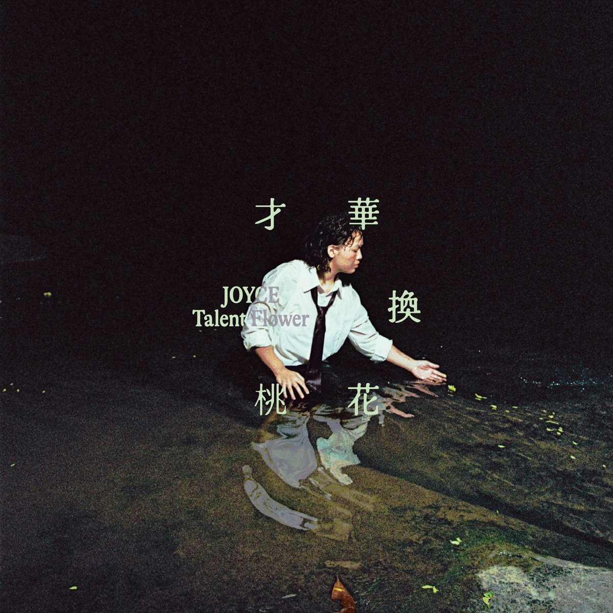 JOYCE 就以斯《才华换桃花》[320K/MP3][24Bit-48kHz][FLAC/分轨][559.3MB]-影音屋