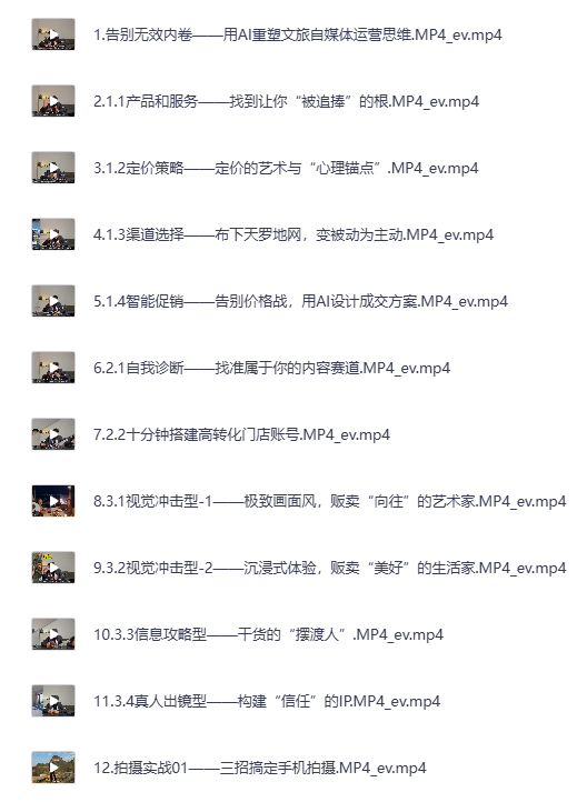 《文旅商家AI自媒体实战宝典》数字化营销策略+流量变现[MP4]-影音屋