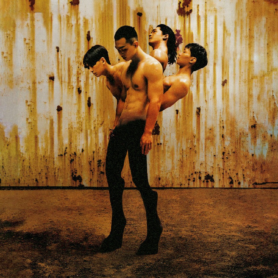 傻子与白痴《姿态》[FLAC/分轨][234.19MB]-影音屋