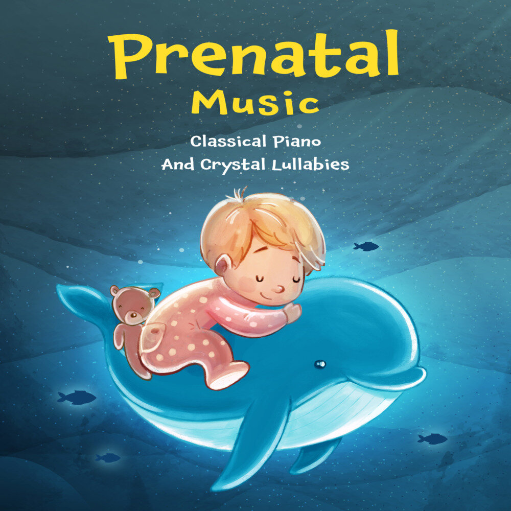 群星《胎教音乐 古典钢琴曲与水晶摇篮曲》[FLAC/分轨][654.13MB]-影音屋