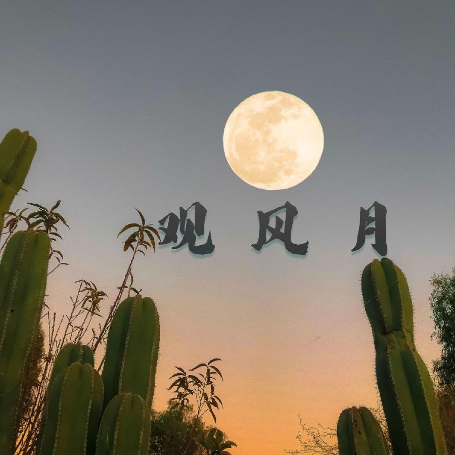 群星《观风月》[320K/MP3][133.98MB]-影音屋