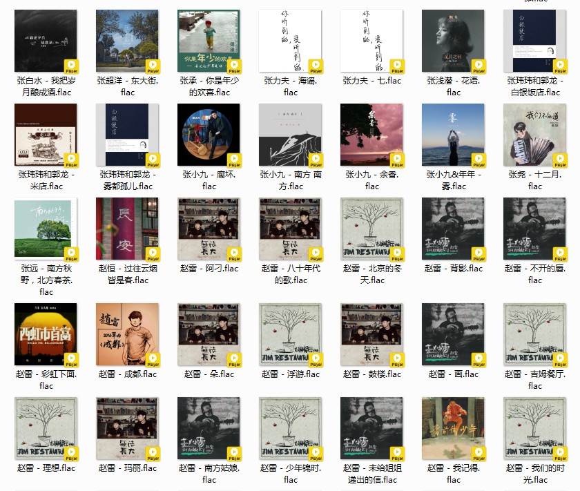 图片[9]-《歌单 民谣与酒 姑娘 吉他 南北方 甄选458首》[FLAC/MP3][12GB]-影音屋