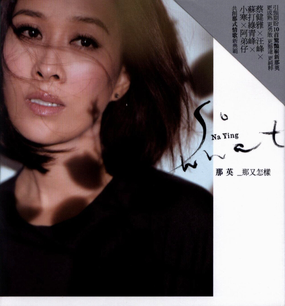 那英《那又怎样》[台湾首版] [WAV+CUE][878M]-影音屋