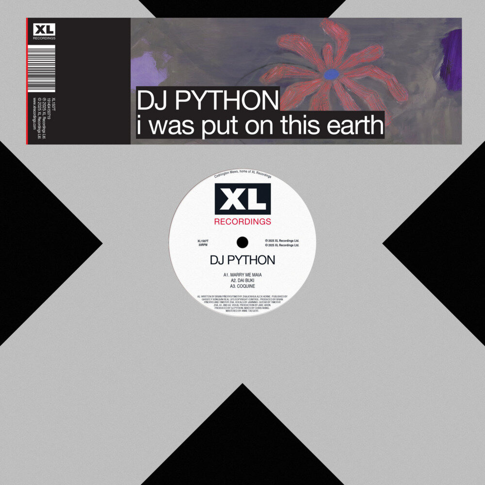 Dj Python《i was put on this earth》[24Bit-44.1kHz][FLAC/分轨][217.21MB]-影音屋