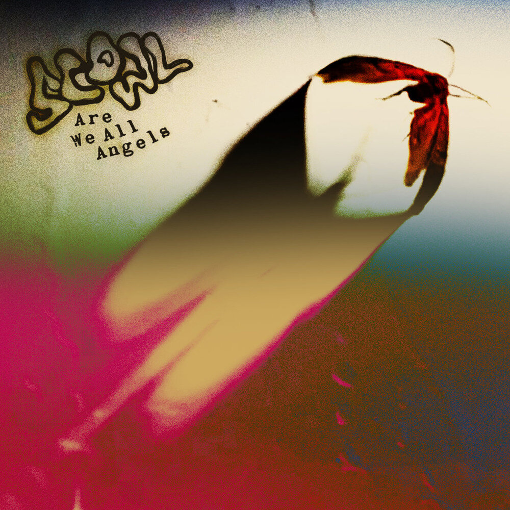 Scowl《Are We All Angels》[Hi-Res][24Bit-96kHz][FLAC/分轨][782.95MB]-影音屋